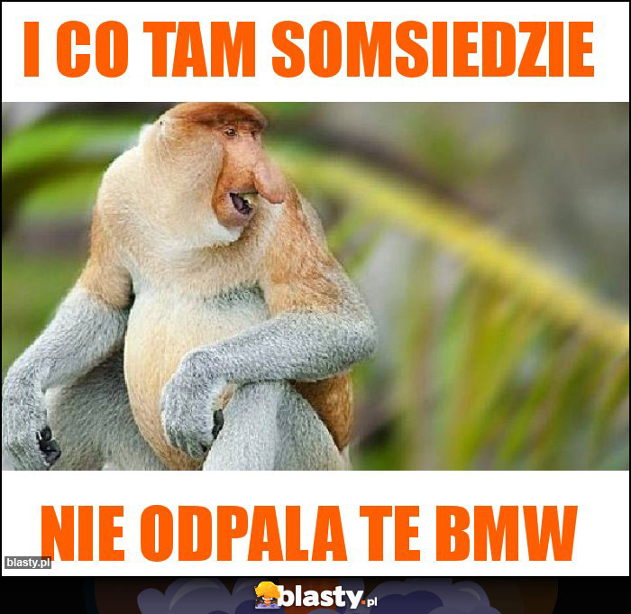 i co tam somsiedzie