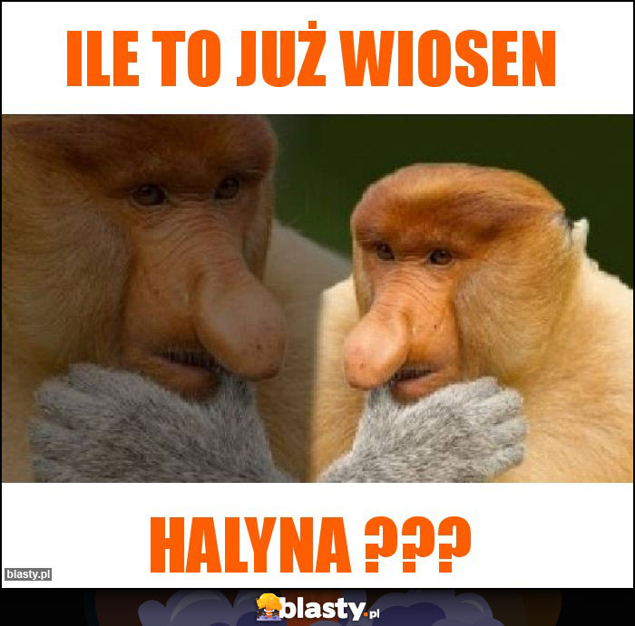 Ile to już wiosen