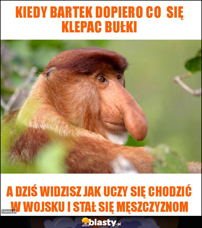 Kiedy Bartek dopiero co  się klepac bułki