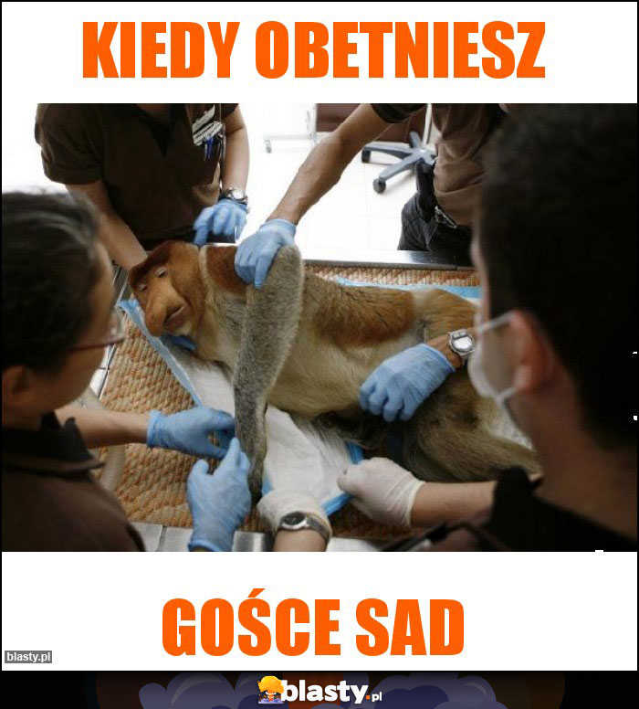 kiedy obetniesz