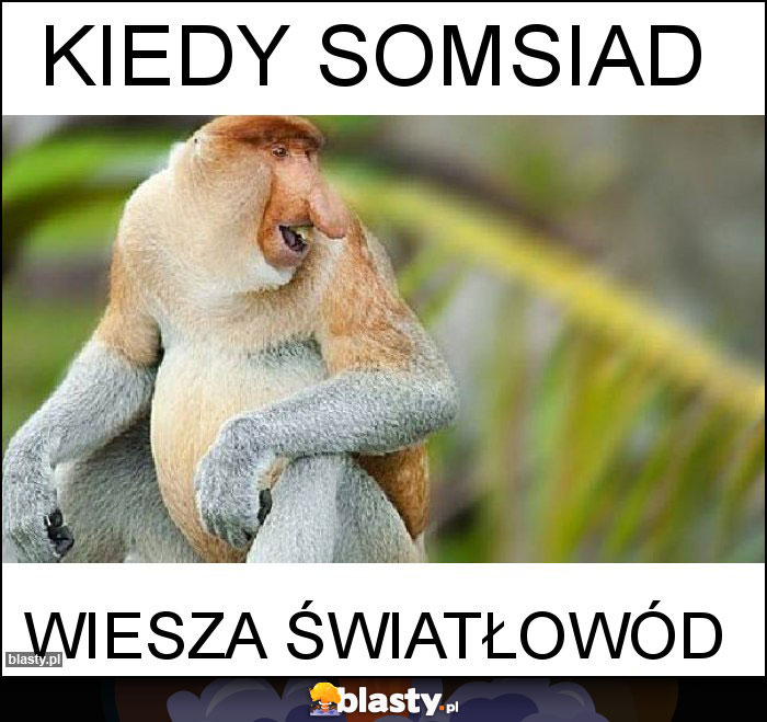 KIEDY SOMSIAD