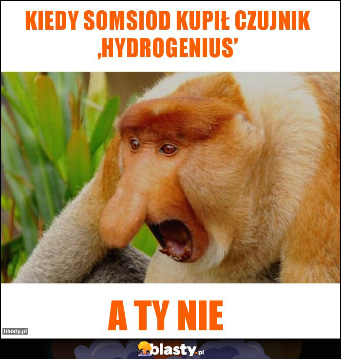 Kiedy somsiod kupił czujnik ‚Hydrogenius’