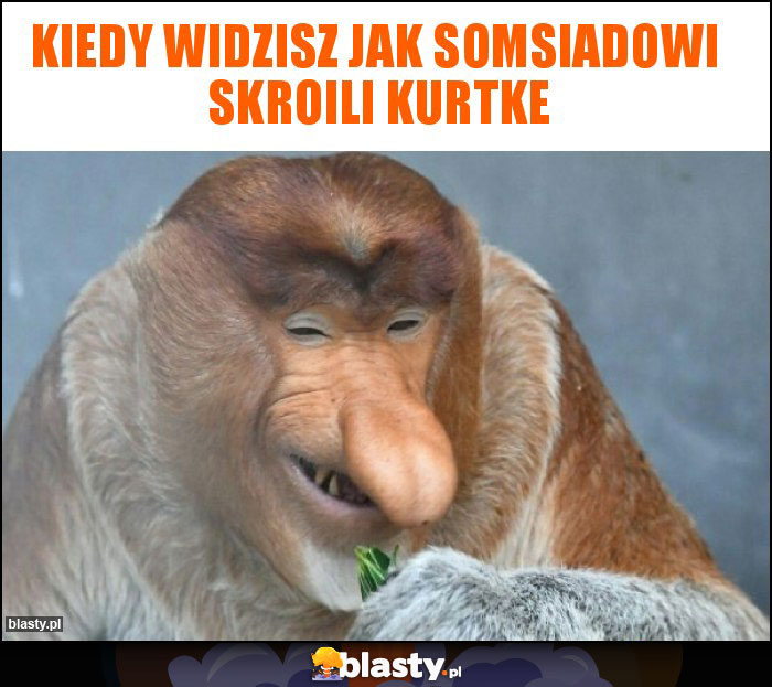 Kiedy widzisz jak somsiadowi  skroili kurtke