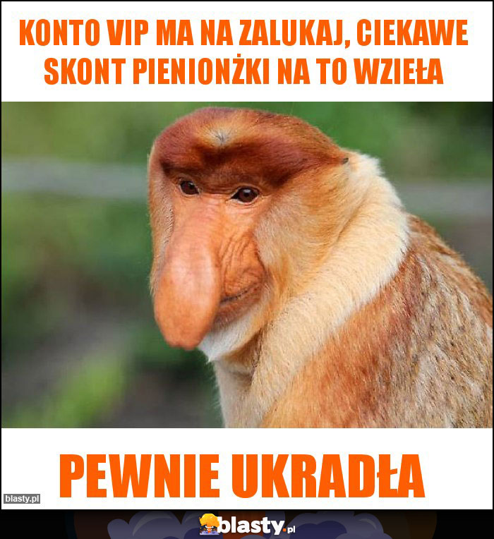 Konto vip ma na zalukaj, ciekawe skont pienionżki na to wzieła