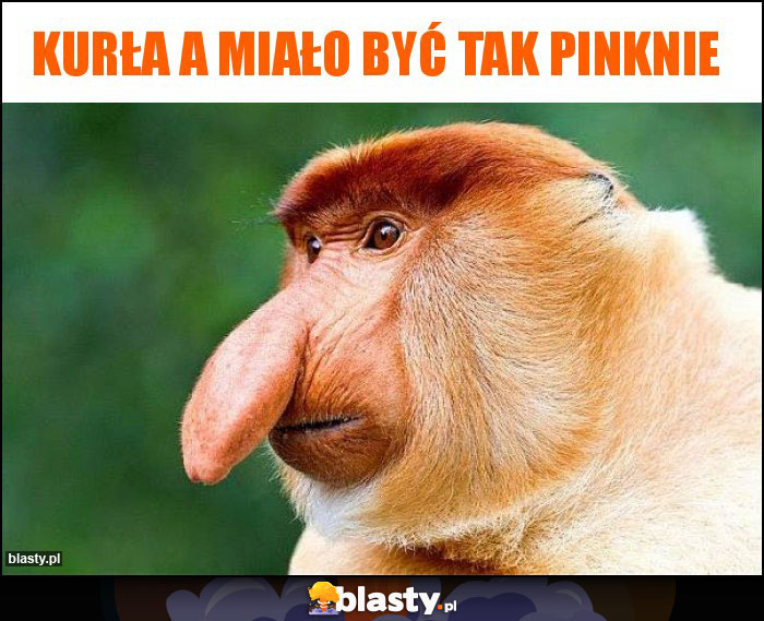 Kurła a miało być tak pinknie