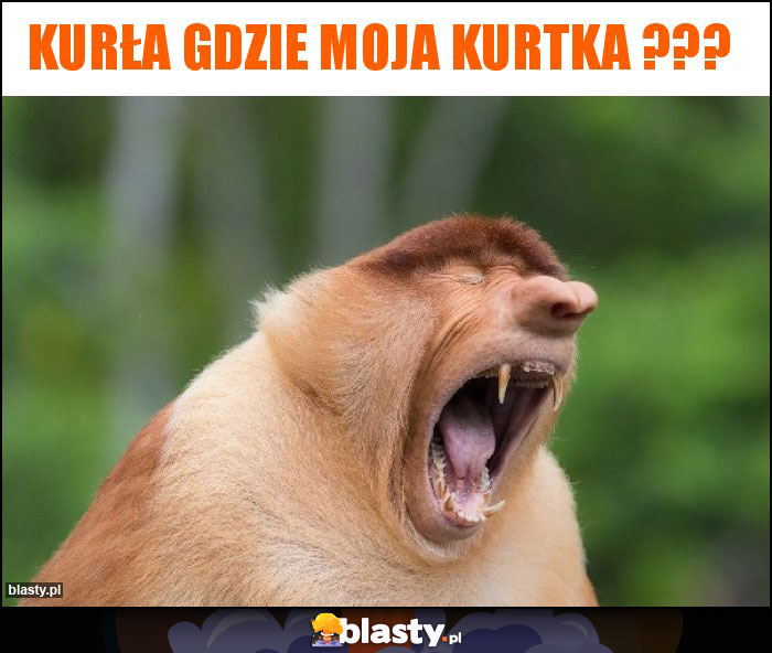 KURŁA GDZIE MOJA KURTKA ???
