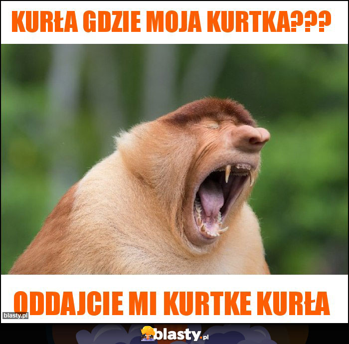 KURŁA GDZIE MOJA KURTKA???