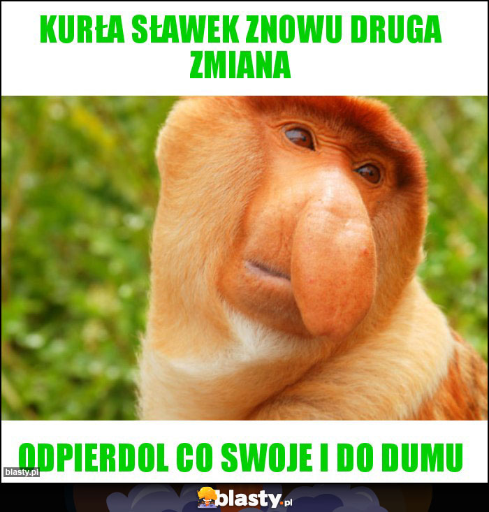 KURŁA SŁAWEK ZNOWU DRUGA ZMIANA