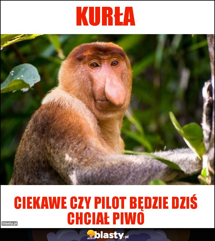 kurła