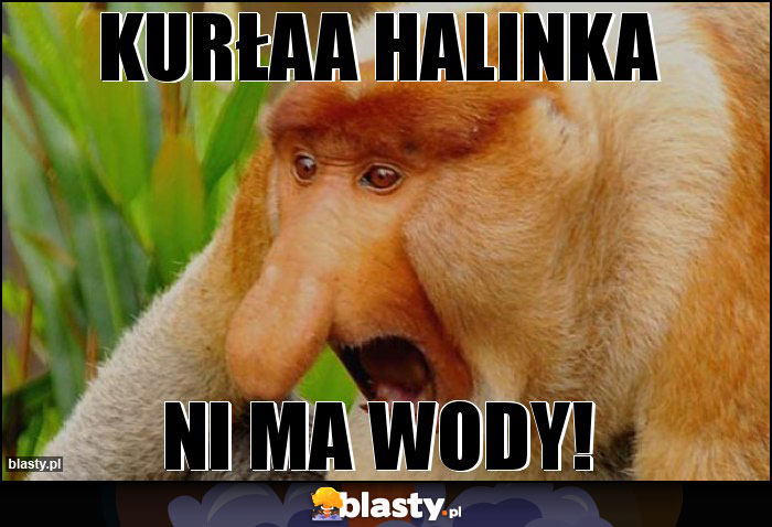 KURŁAA HALINKA