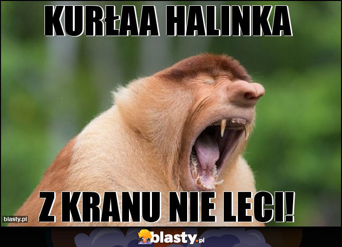 KURŁAA HALINKA