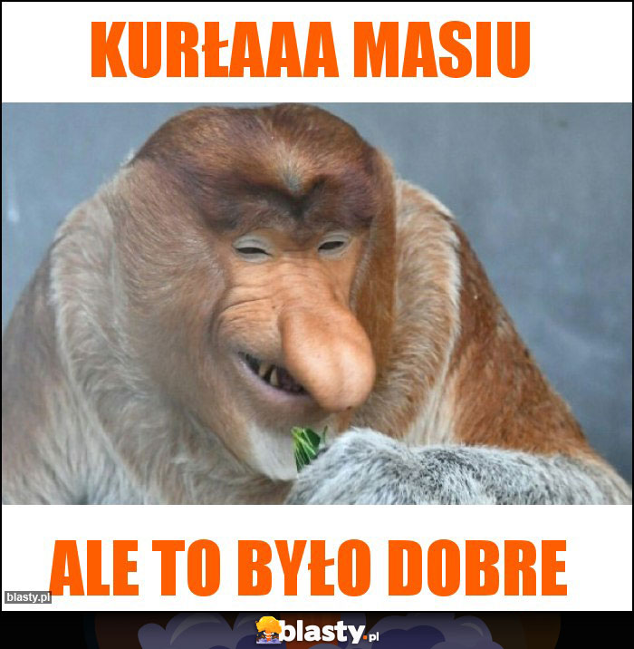 Kurłaaa masiu