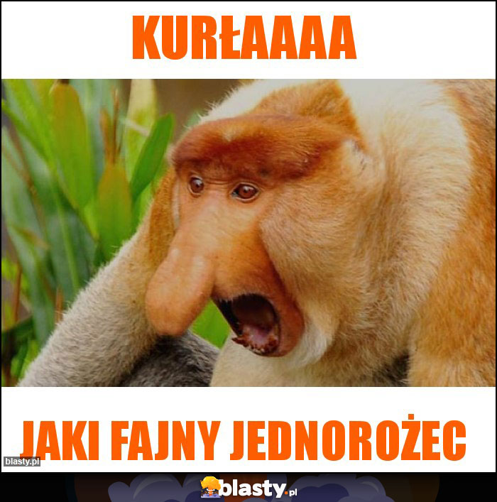 Kurłaaaa