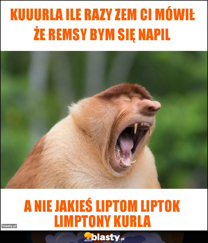 Kuuurla ile razy zem Ci mówił że remsy bym się napil