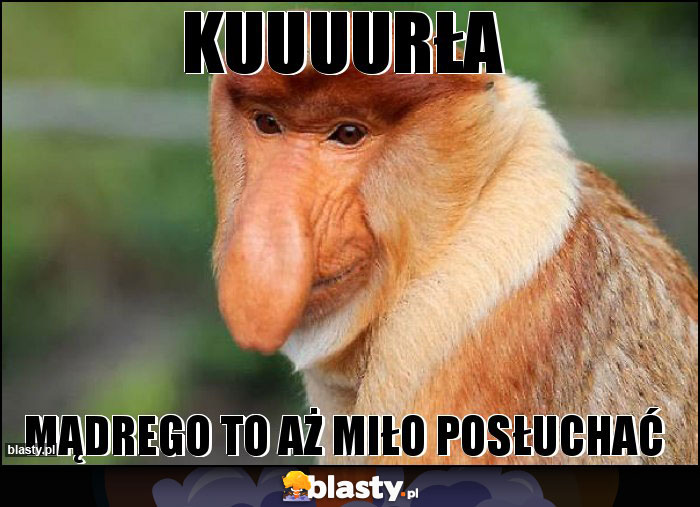 KUUUURŁA