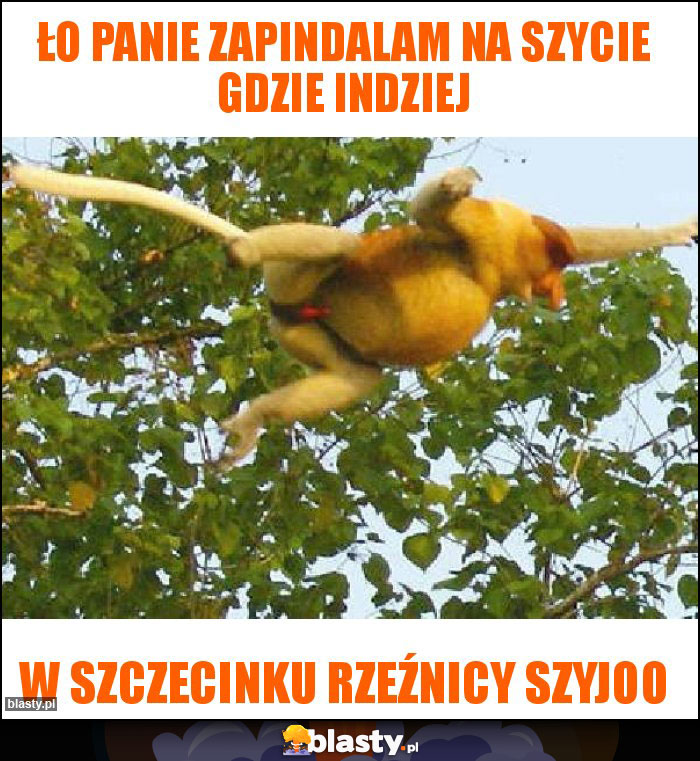 Ło Panie zapindalam na szycie gdzie indziej