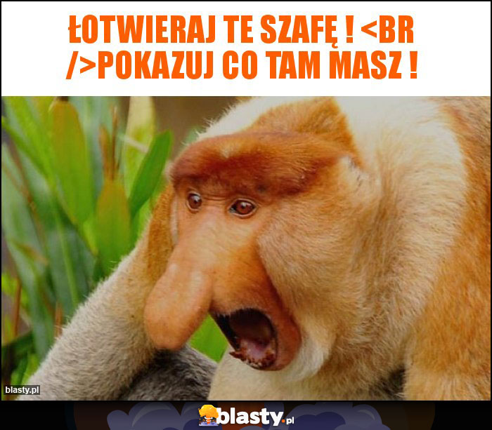 Łotwieraj te szafę ! 
Pokazuj co tam masz !