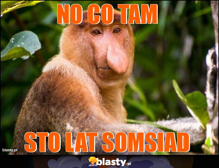 NO CO TAM