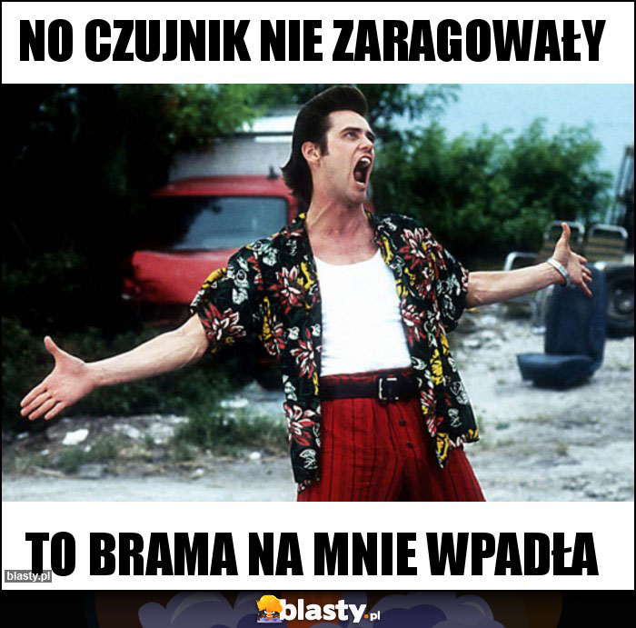 No czujnik nie zaragowały