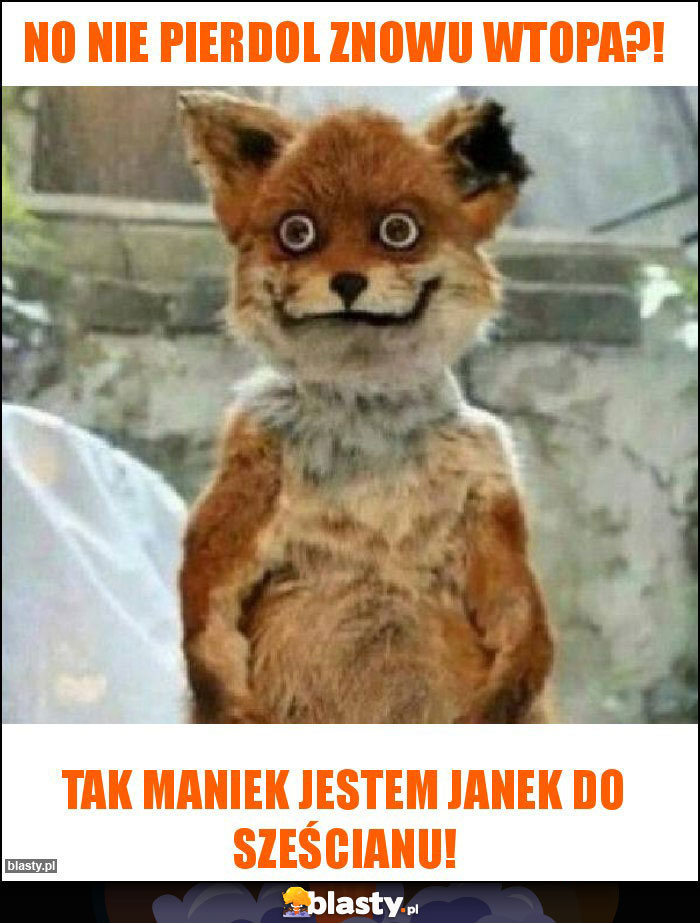 No nie pierdol znowu wtopa?!