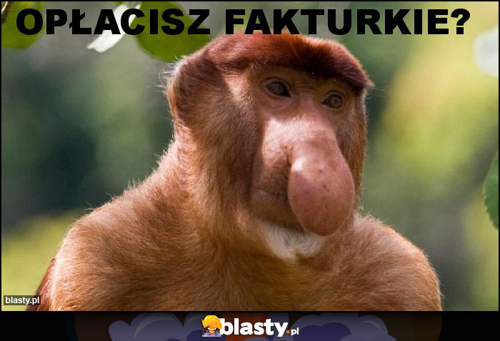 OPŁACISZ FAKTURKIE?