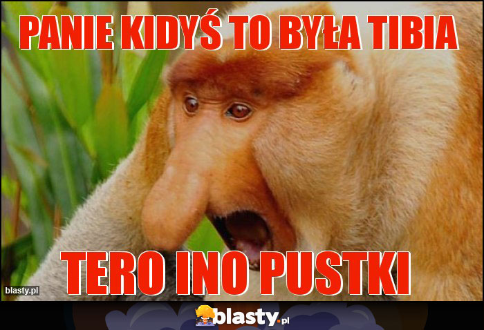 PANIE KIDYŚ TO BYŁA TIBIA