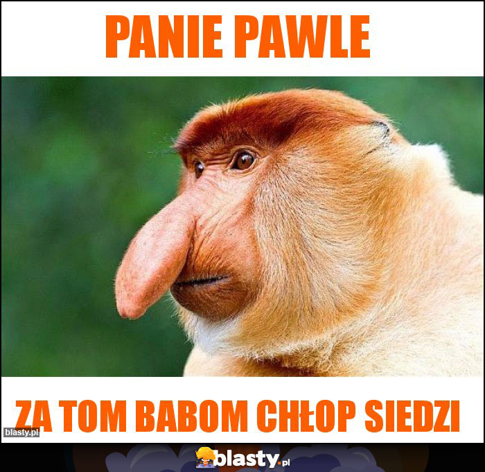 Panie Pawle