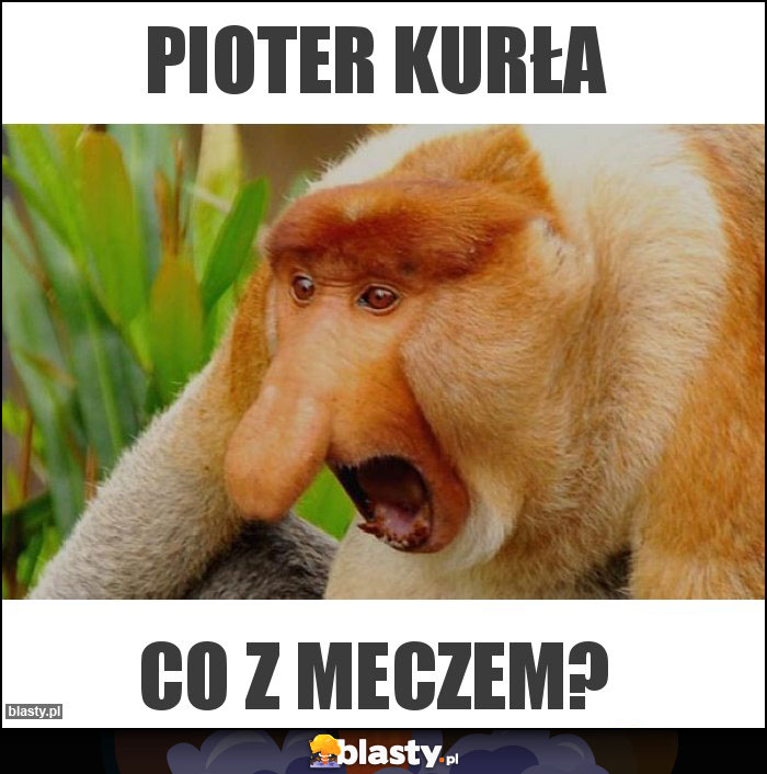 Pioter kurła