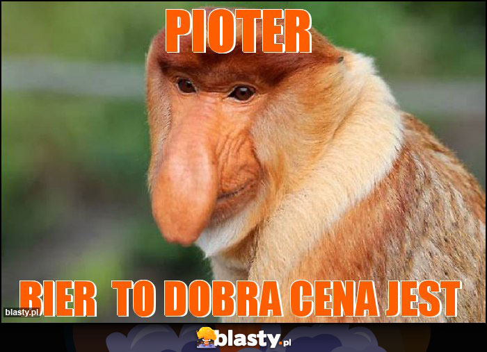 pioter