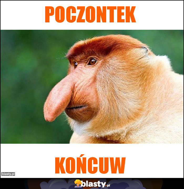 Poczontek