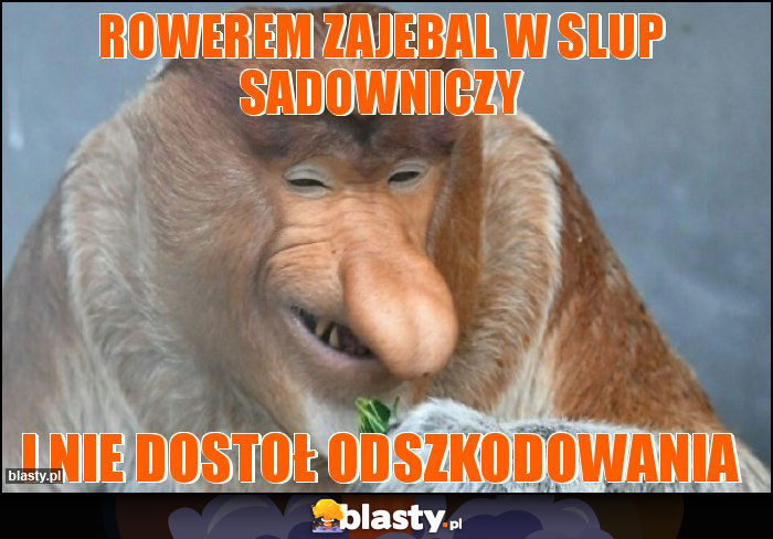 rowerem zajebal w slup sadowniczy