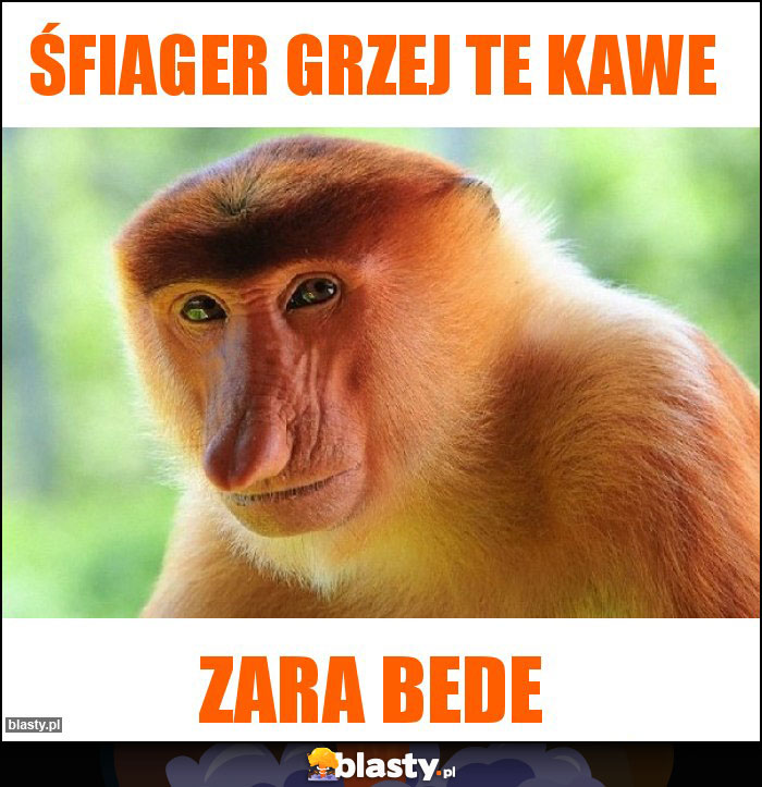 Śfiager grzej te kawe
