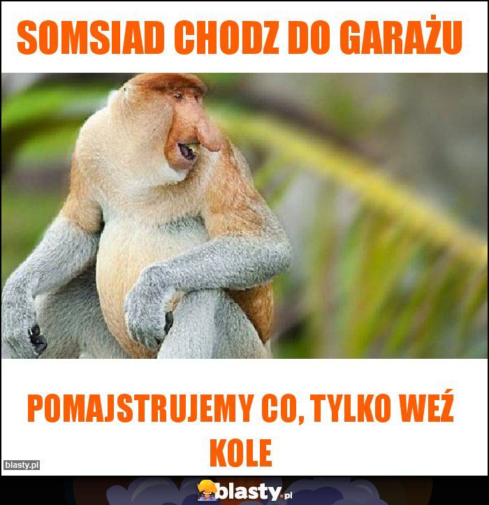 Somsiad chodz do garażu