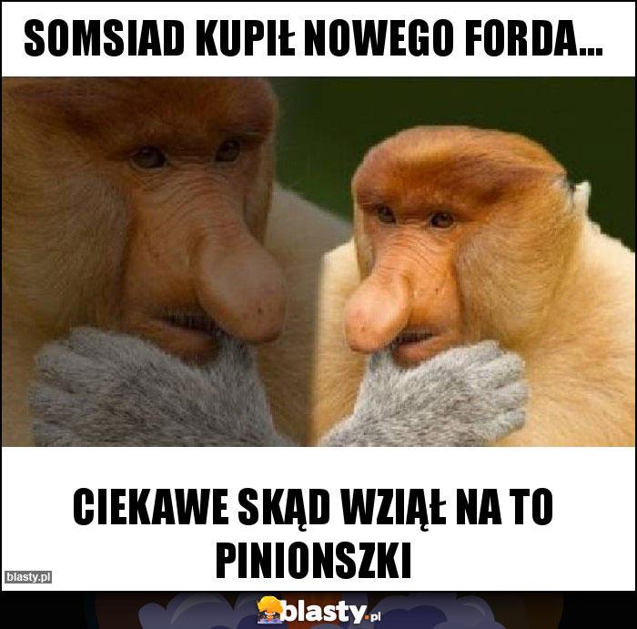 SOMSIAD KUPIŁ NOWEGO FORDA...