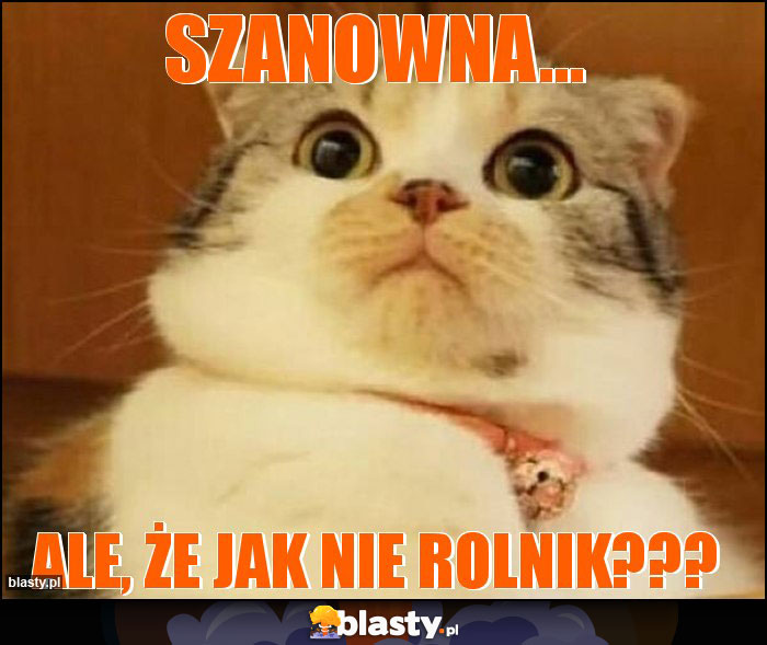 Szanowna...