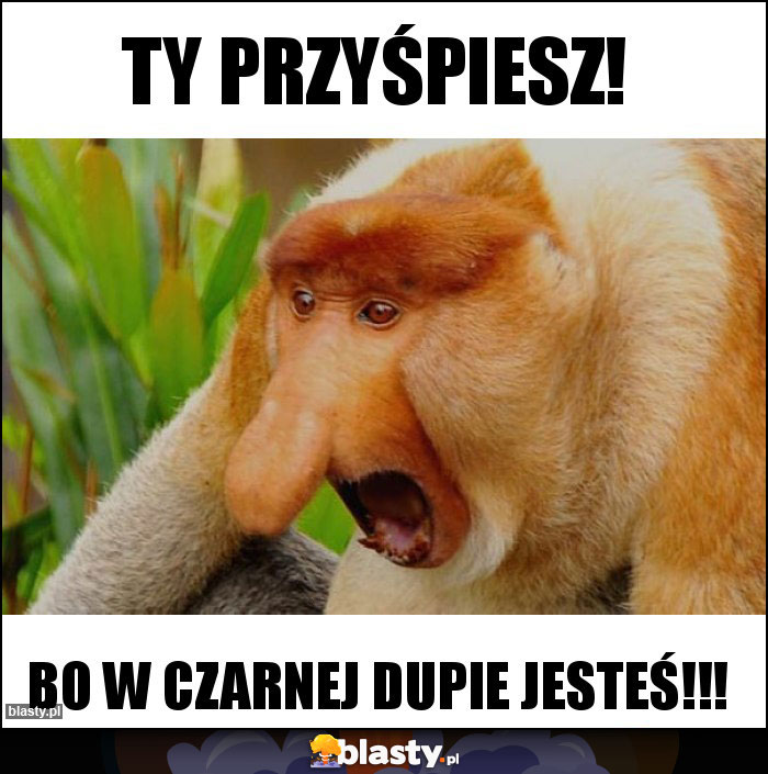TY PRZYŚPIESZ!