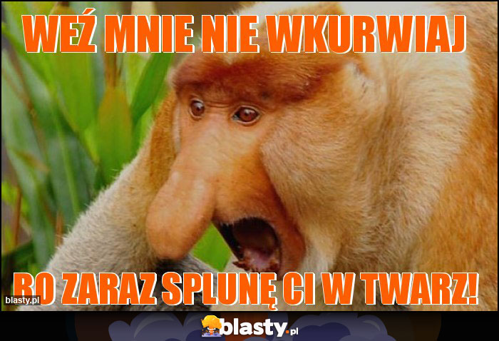 WEŹ MNIE NIE WKURWIAJ