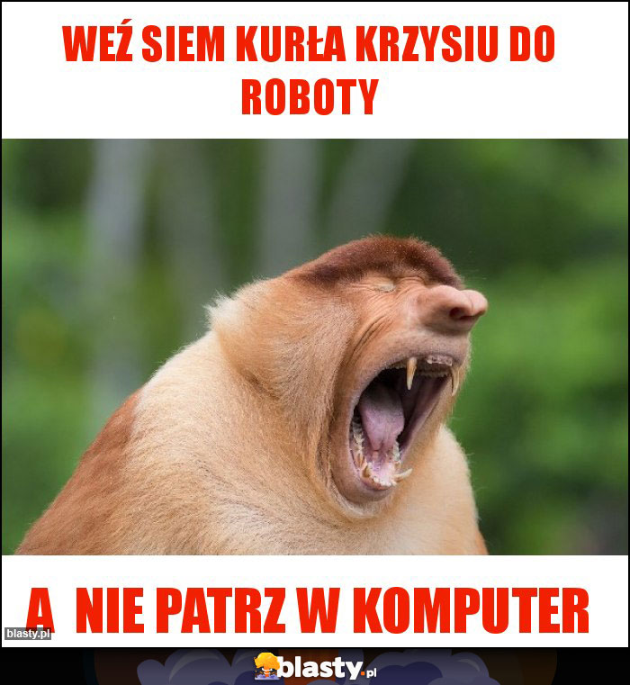 WEŹ SIEM KURŁA KRZYSIU DO ROBOTY