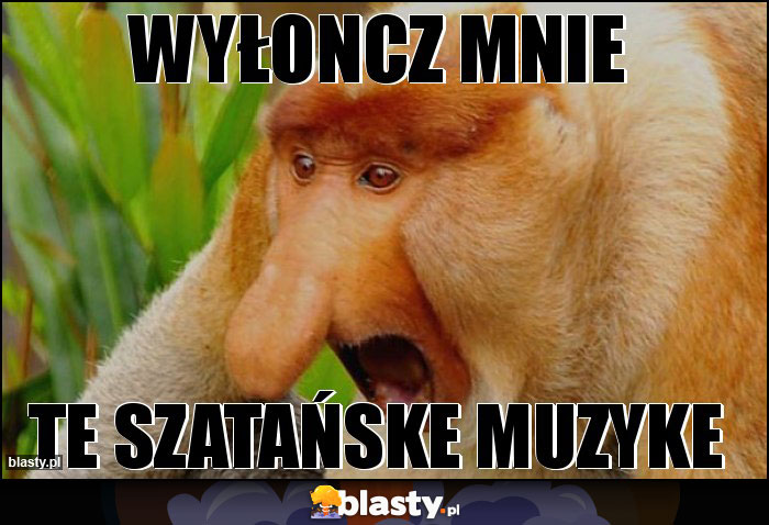wyłoncz mnie