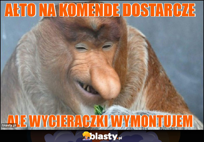 Ałto na komende dostarcze