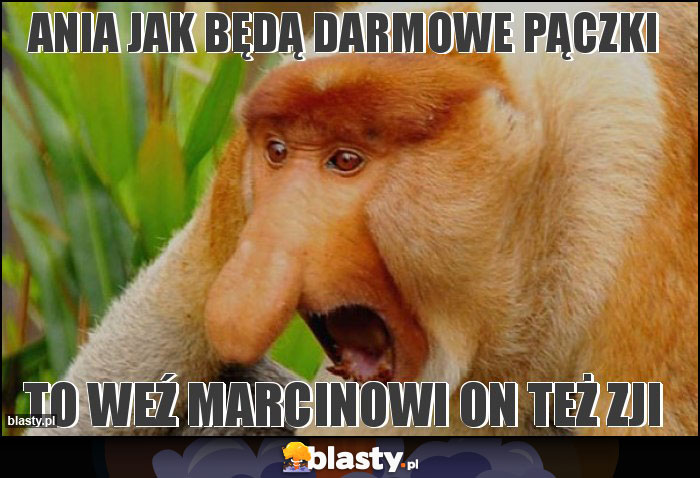 Ania jak będą darmowe pączki