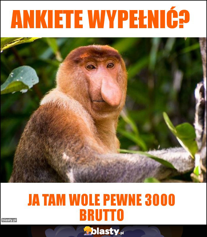 Ankiete wypełnić?