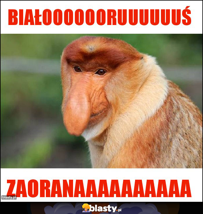 BIAŁOOOOOORUUUUUUŚ
