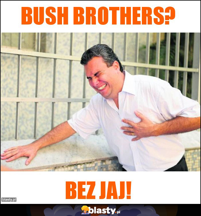 Bush Brothers?