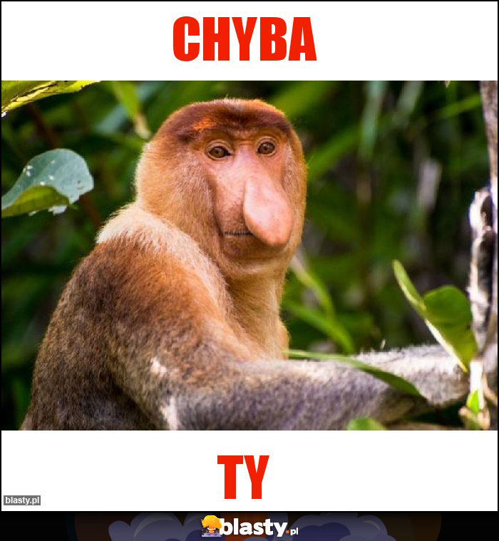 Chyba