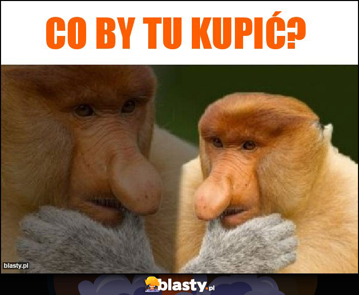 Co by tu kupić?