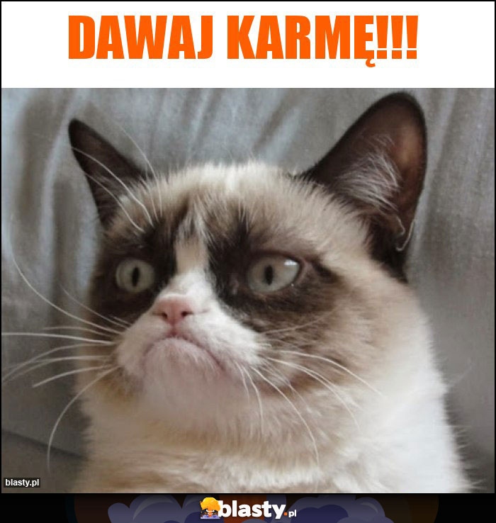 Dawaj karmę!!!