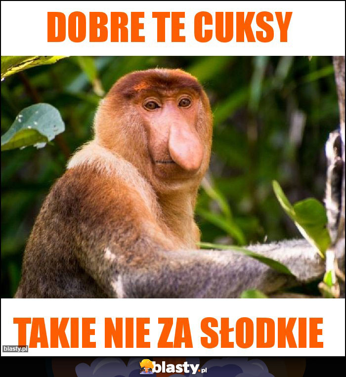 Dobre te cuksy