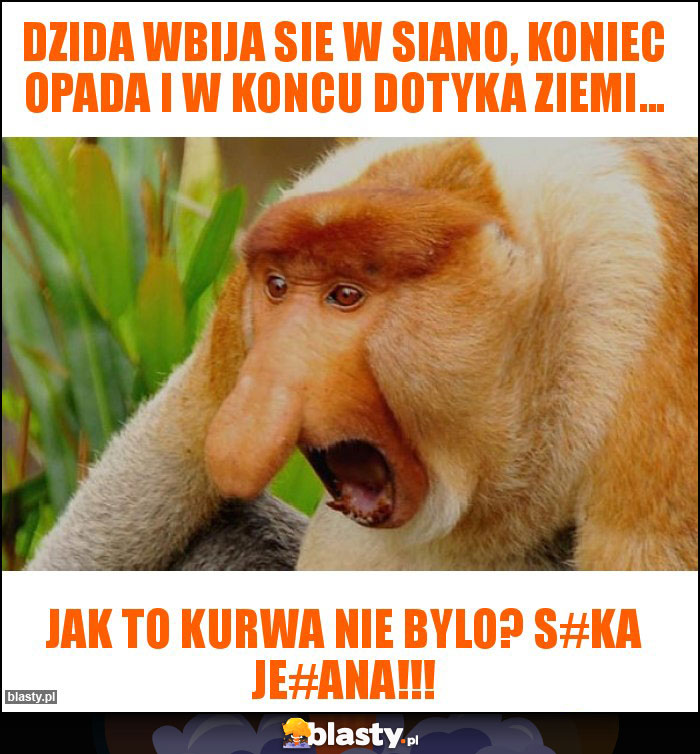 Dzida wbija sie w siano, koniec opada i w koncu dotyka ziemi...