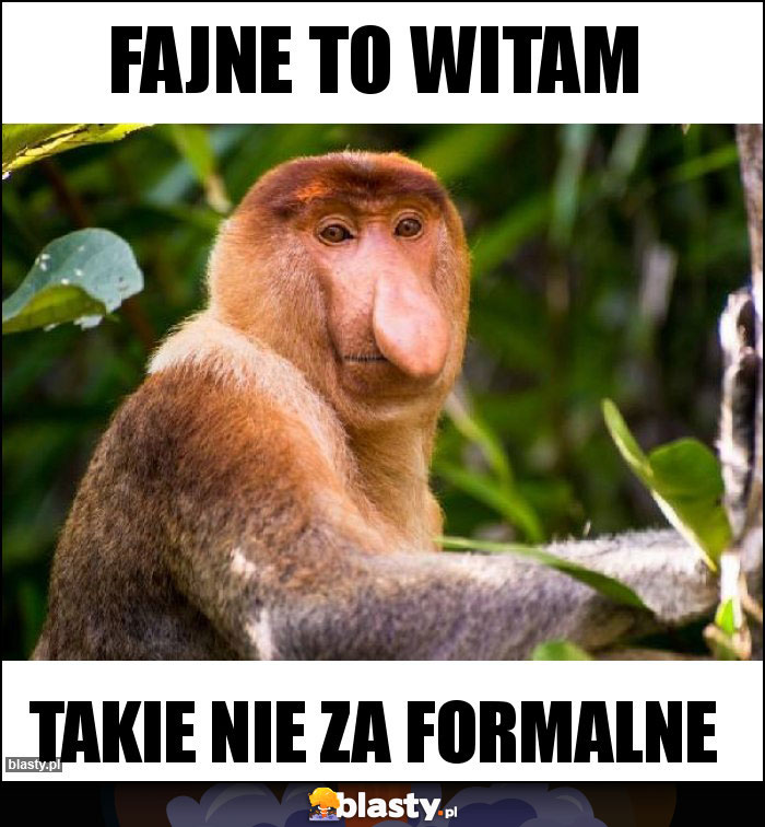 Fajne to witam